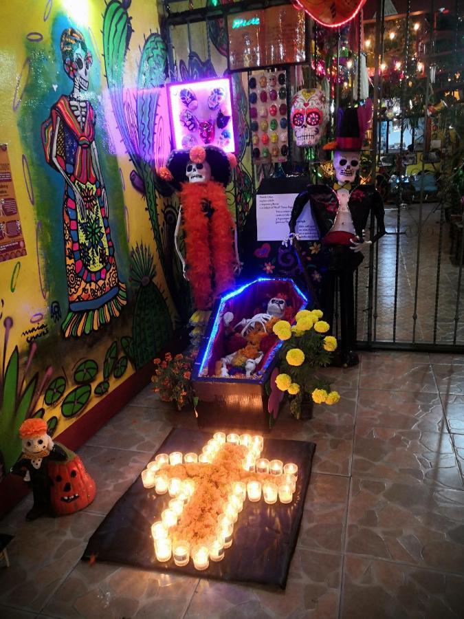Hostal Oaxaca Magic エクステリア 写真