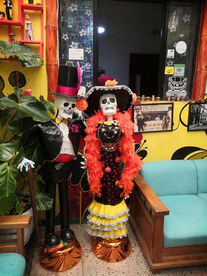 Hostal Oaxaca Magic エクステリア 写真