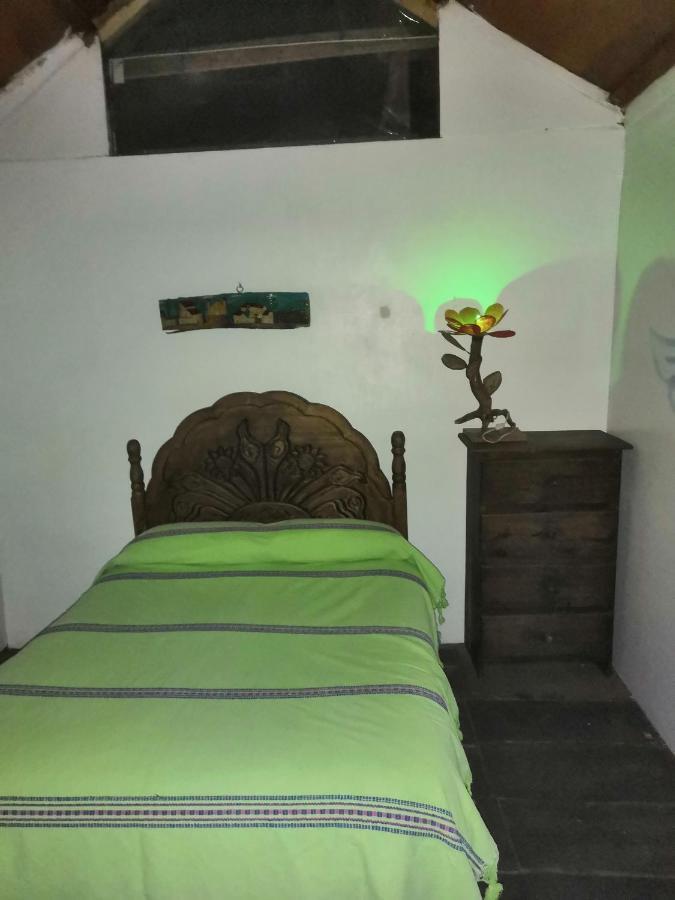 Hostal Oaxaca Magic エクステリア 写真