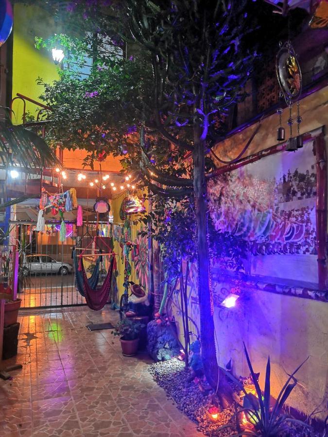 Hostal Oaxaca Magic エクステリア 写真