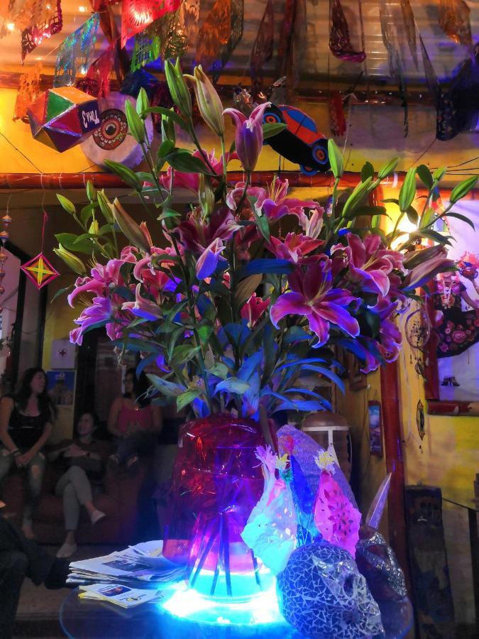 Hostal Oaxaca Magic エクステリア 写真